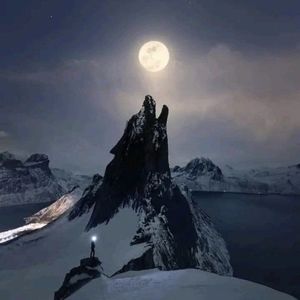 Meet your Posher, Lois